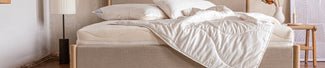Duvets & Pillows