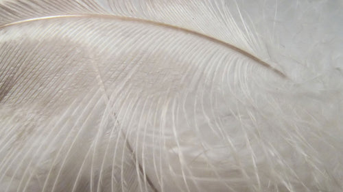 Karnap Pillow white, 100% cotton | High quality homewares