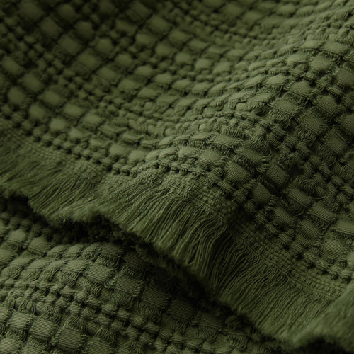 Anuda Cotton Blanket [Pine]