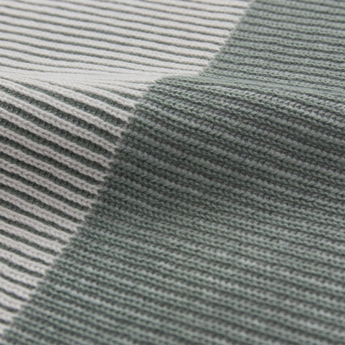 Arcela Tea Towel aloe green & ivory & green grey, 100% cotton | Find the perfect dishcloths