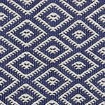 Barota Outdoor Rug [Ultramarine/White]