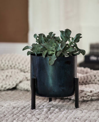 Zaroli Planter black, 100% metal