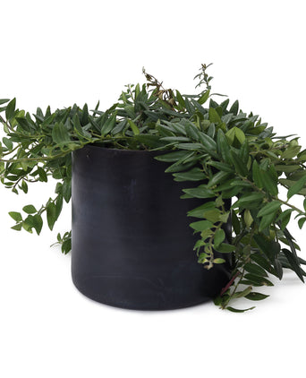 Zaroli Planter black, 100% metal