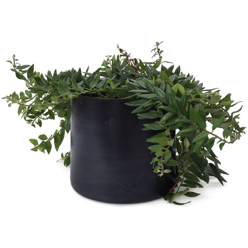 Zaroli Planter in black | Home & Living inspiration | URBANARA