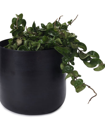 Zaroli Planter black, 100% metal